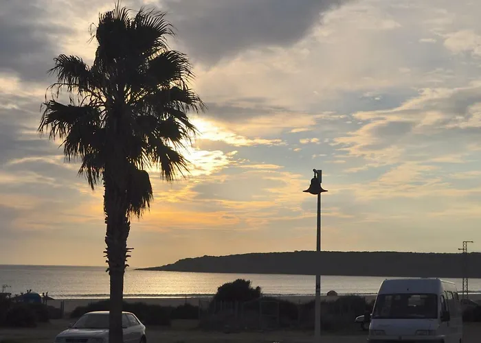 Sol de Bolonia 8