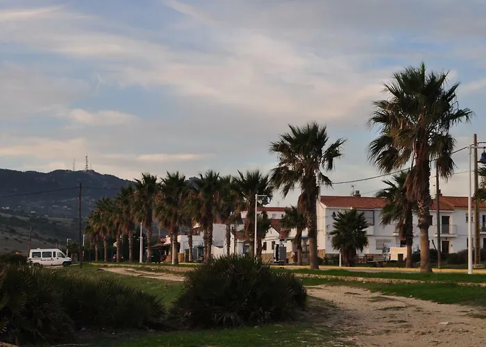 Sol de Bolonia 8